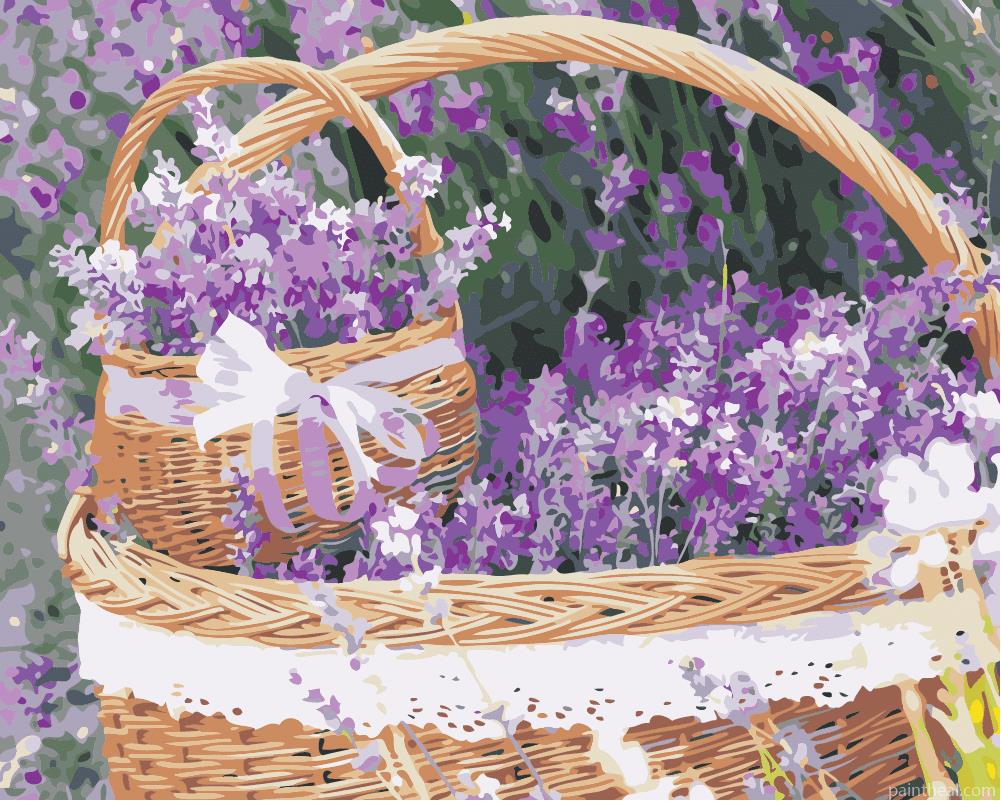 Lavender Basket Painting By Numbers Kits