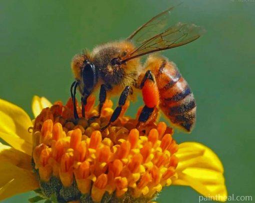 Honey Bee On Flower – 5D Diamond Painting Painting By Numbers Kits