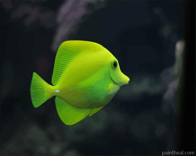 Green Fish Aquarium Painting By Numbers Kits