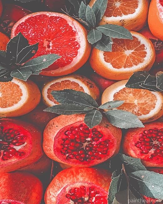 Grapefruit and Pomegranate Painting By Numbers Kits