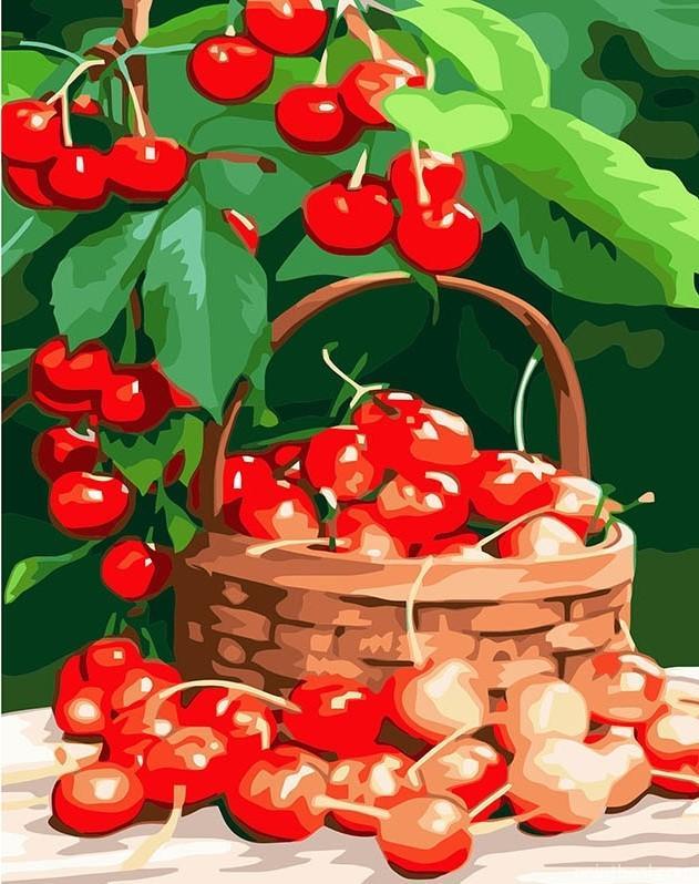 Cherries In basket Painting By Numbers Kits