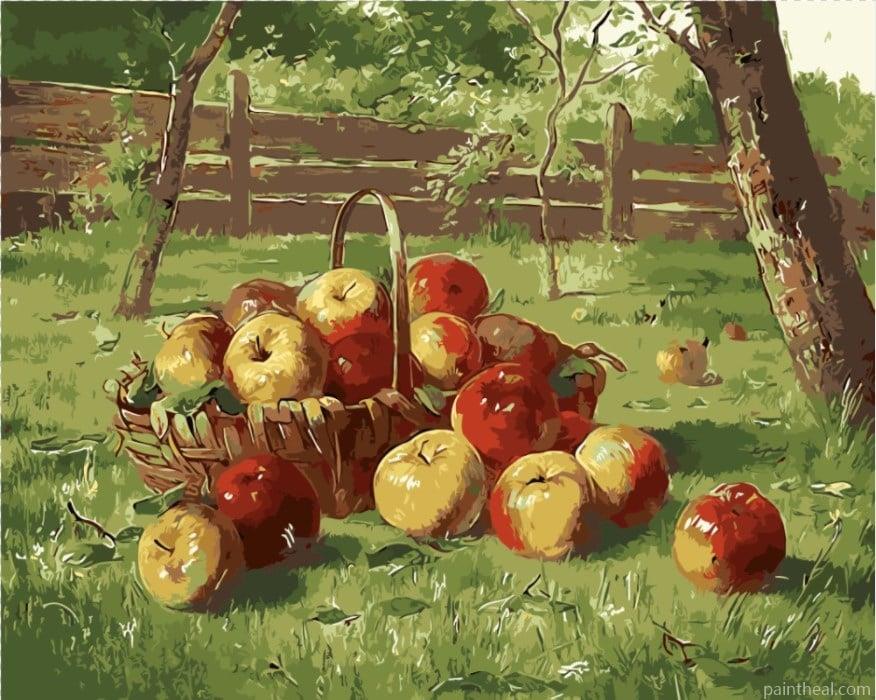 Apples In Basket Painting By Numbers Kits