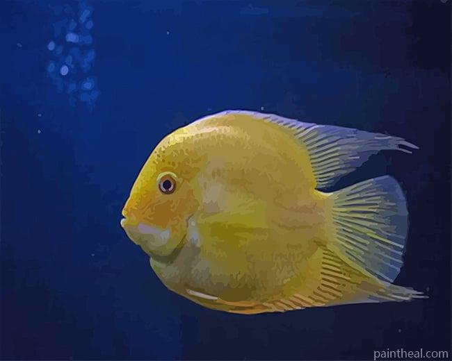 Yellow Golden Fish Painting By Numbers Kits