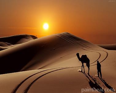 Camel In Desert At Sunset Painting By Numbers Kits