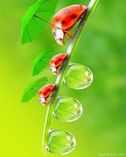 Ladybugs Insect Painting By Numbers Kits