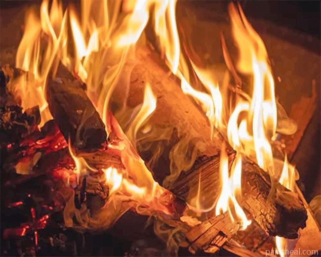 Burning Wood -Paint By Numbers Painting By Numbers Kits