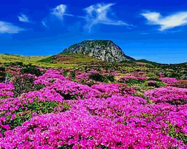 Halla Mountain South Korea Painting By Numbers Kits
