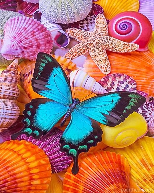 Blue Butterfly On Seashells Painting By Numbers Kits