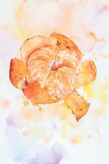 Clementine Painting By Numbers Kits