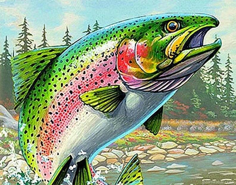 Salmon Fish Art Painting By Numbers Kits