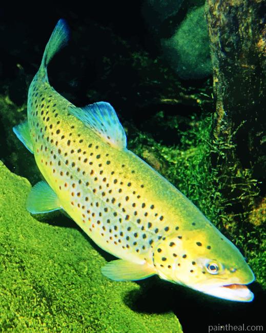 Green Trout Fish Painting By Numbers Kits