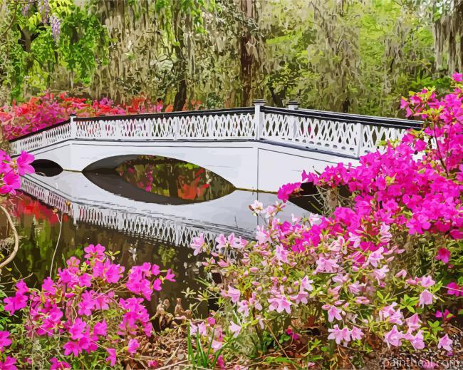 Magnolia Plantation And Gardens Painting By Numbers Kits