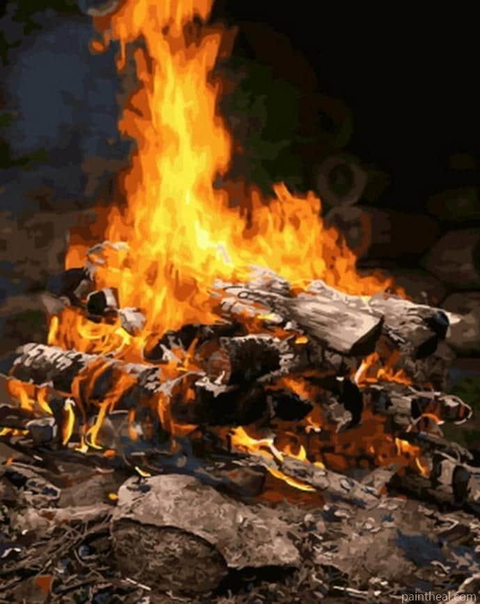 Wood Fire Painting By Numbers Kits