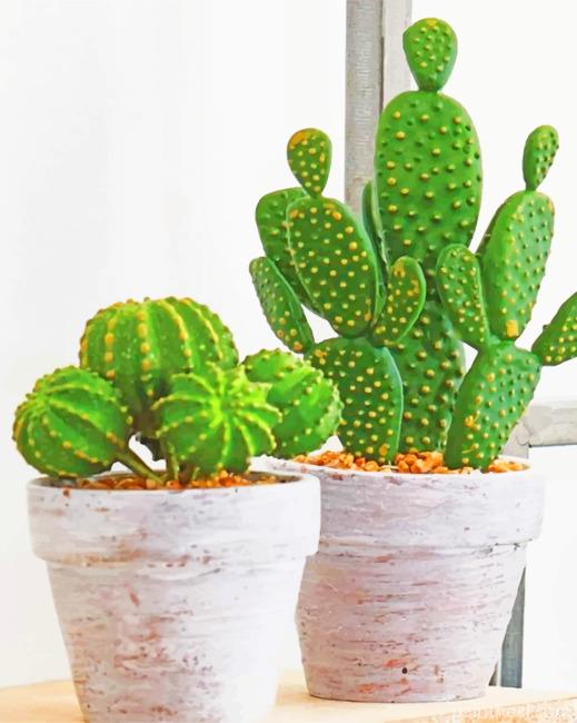 Cactus In Pots Painting By Numbers Kits