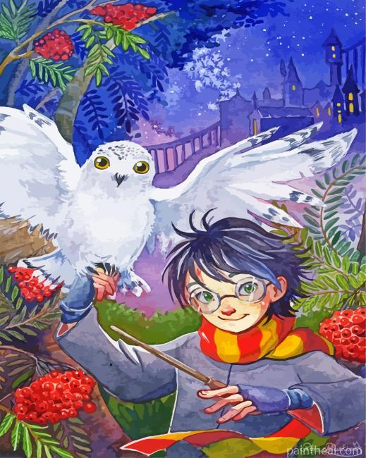 Hedwig And Harry Potter Painting By Numbers Kits