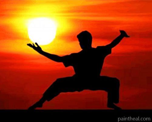 Kung Fu Man Silhouette Painting By Numbers Kits