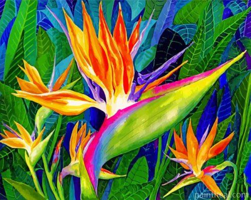Bird Of Paradise Painting By Numbers Kits