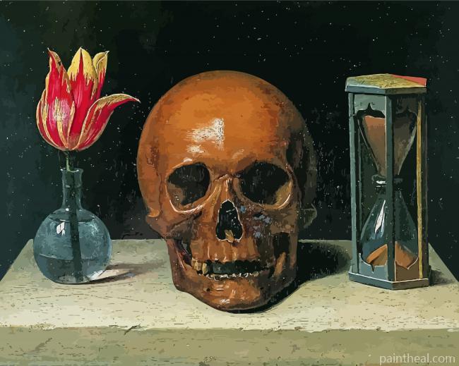 Still Life Momento Mori Painting By Numbers Kits
