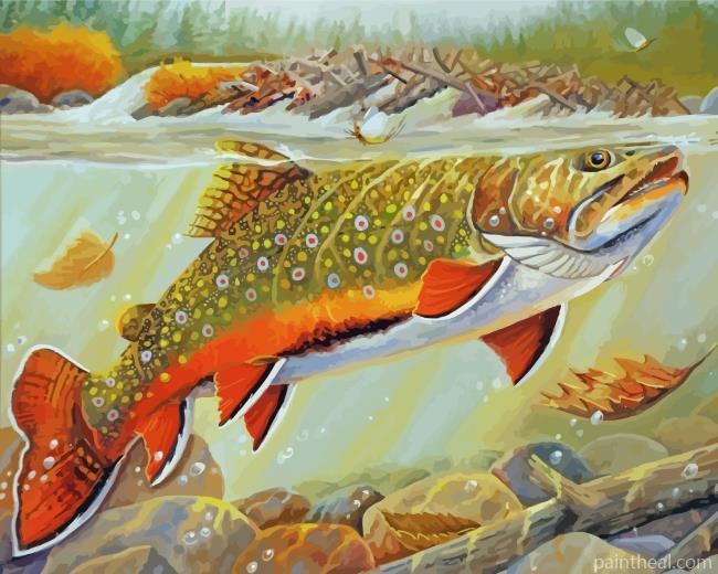Trout Fish Underwater Painting By Numbers Kits