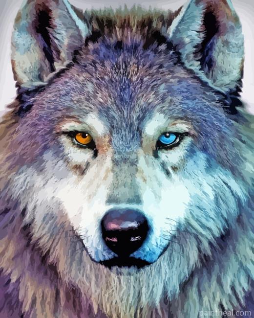Two Different Color Eyes Wolf Painting By Numbers Kits