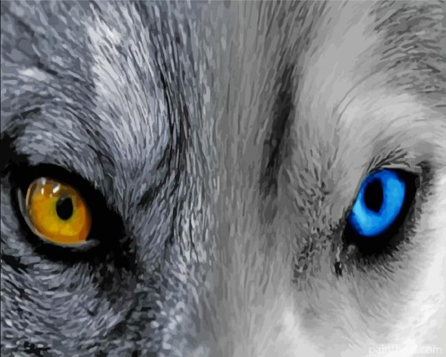 Wolf With Two Different Color Eyes Painting By Numbers Kits