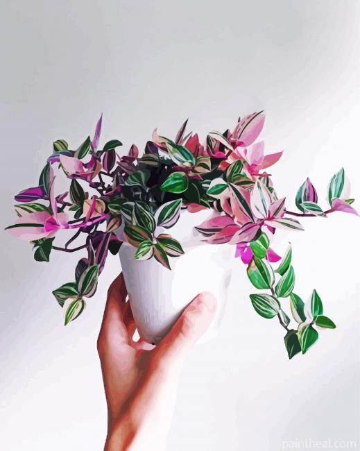 Pink Indoor Plants Painting By Numbers Kits