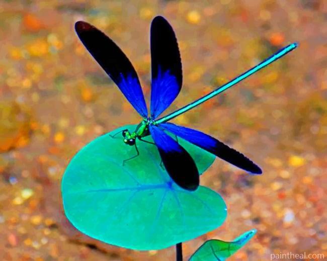 Black And Blue Dragonfly Painting By Numbers Kits