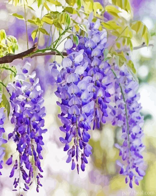 Purple Wisteria Flowers Painting By Numbers Kits