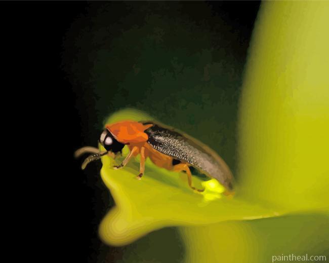 Firefly Insect Painting By Numbers Kits