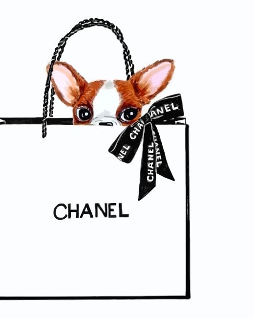 Chanel Chihuahua Painting By Numbers Kits
