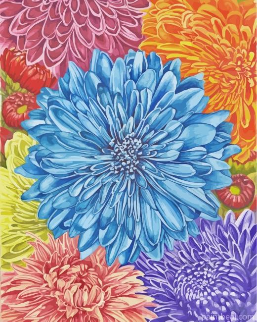 Colorful Chrysanthemum Painting By Numbers Kits