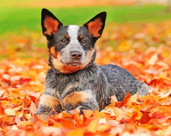 Blue Heeler Dog Painting By Numbers Kits
