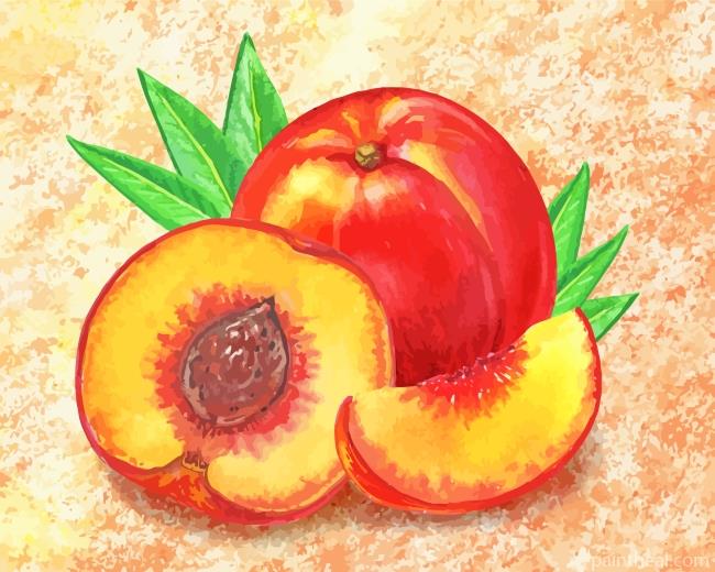 Peach Fruit Art Painting By Numbers Kits