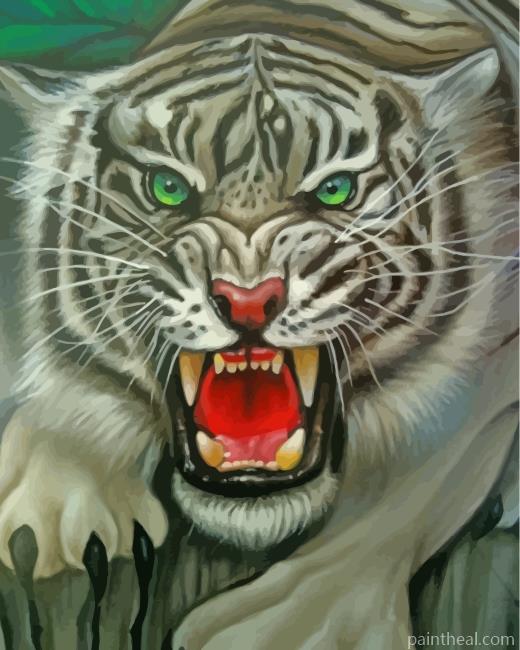 Mad Tiger Painting By Numbers Kits