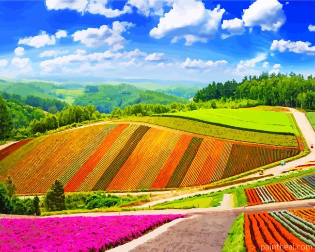Shikisai No Oka Hokkaido Painting By Numbers Kits