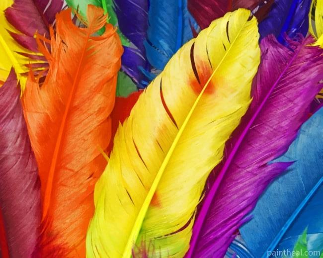 Colorful Feathers Painting By Numbers Kits