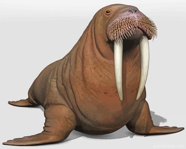 Aesthetic Walrus Painting By Numbers Kits