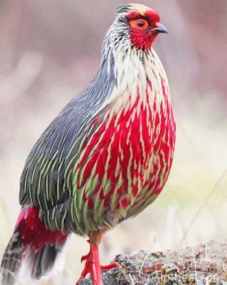 Blood Pheasant Painting By Numbers Kits