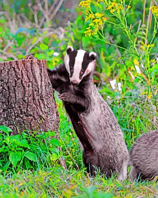 Badger Animal Painting By Numbers Kits