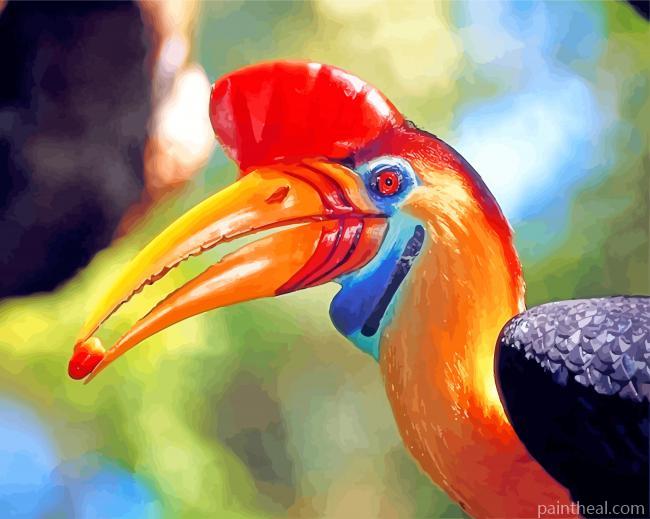 Hornbill Bird Animal Painting By Numbers Kits