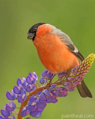 Cute Bullfinch Bird Painting By Numbers Kits