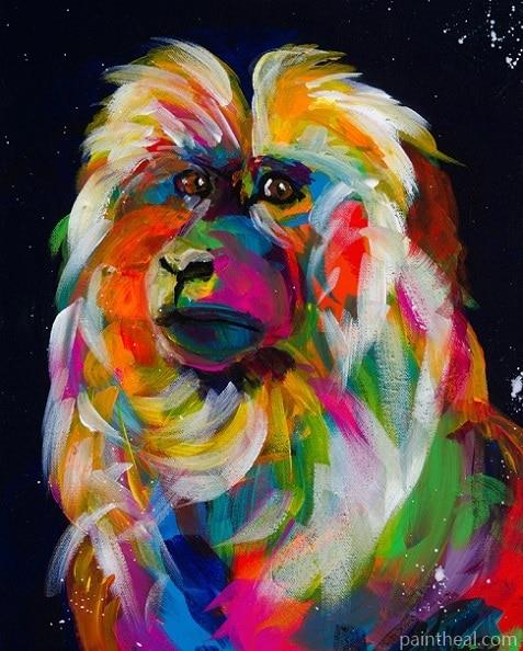 Colorful Macaque Painting By Numbers Kits