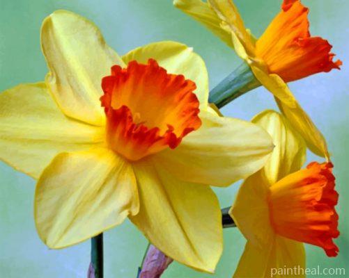 Aesthetic Daffodils Painting By Numbers Kits