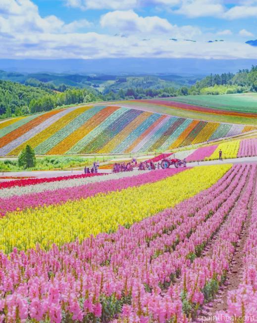 Hokkaido Japan Painting By Numbers Kits