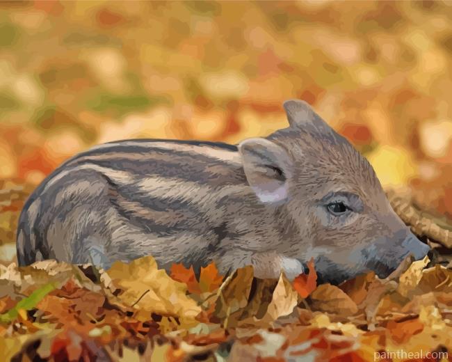 Little Boar Painting By Numbers Kits