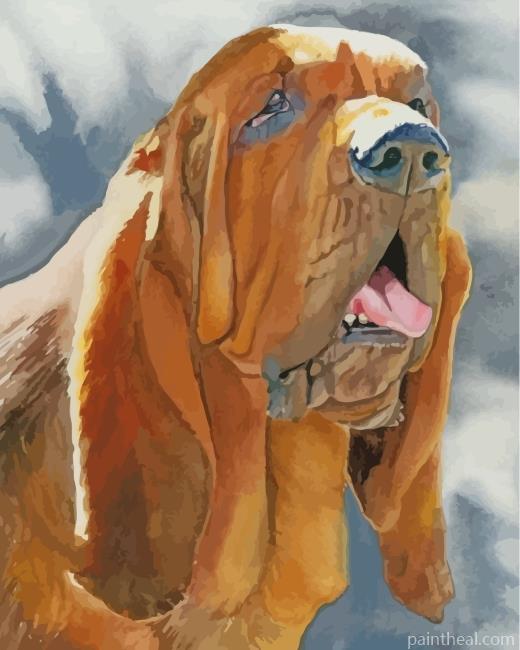 Bloodhound Dog Art Painting By Numbers Kits