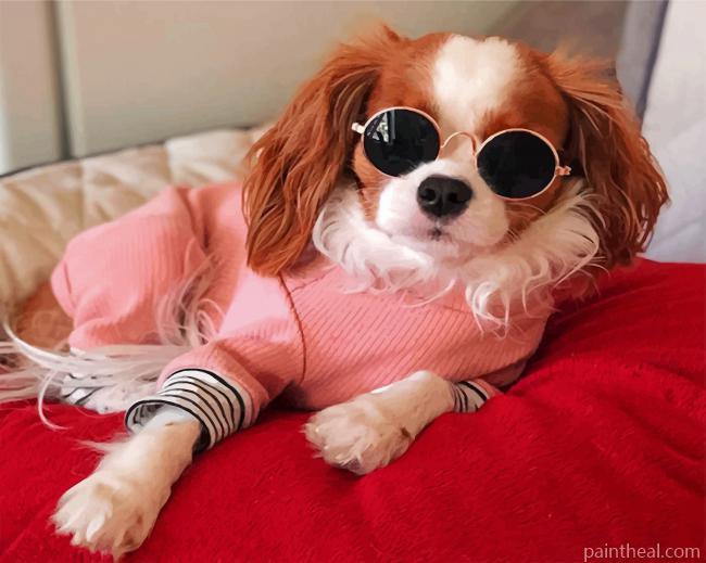 Stylish Cavalier Puppy Painting By Numbers Kits