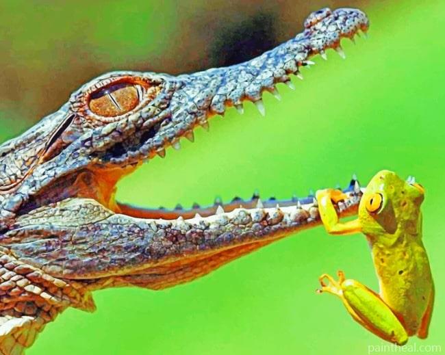 Frog And Alligator Painting By Numbers Kits