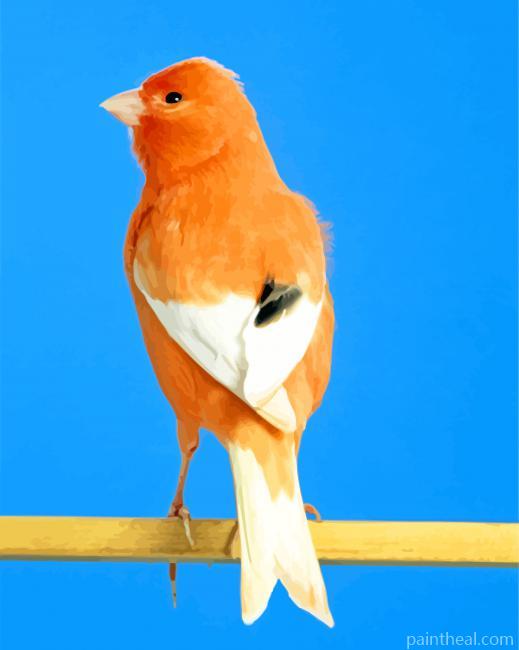 Canary Bird Painting By Numbers Kits