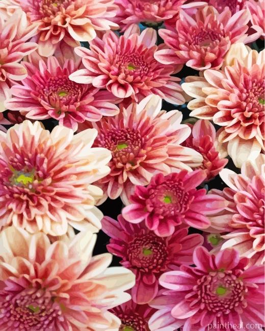 Chrysanthemum Flowers Painting By Numbers Kits